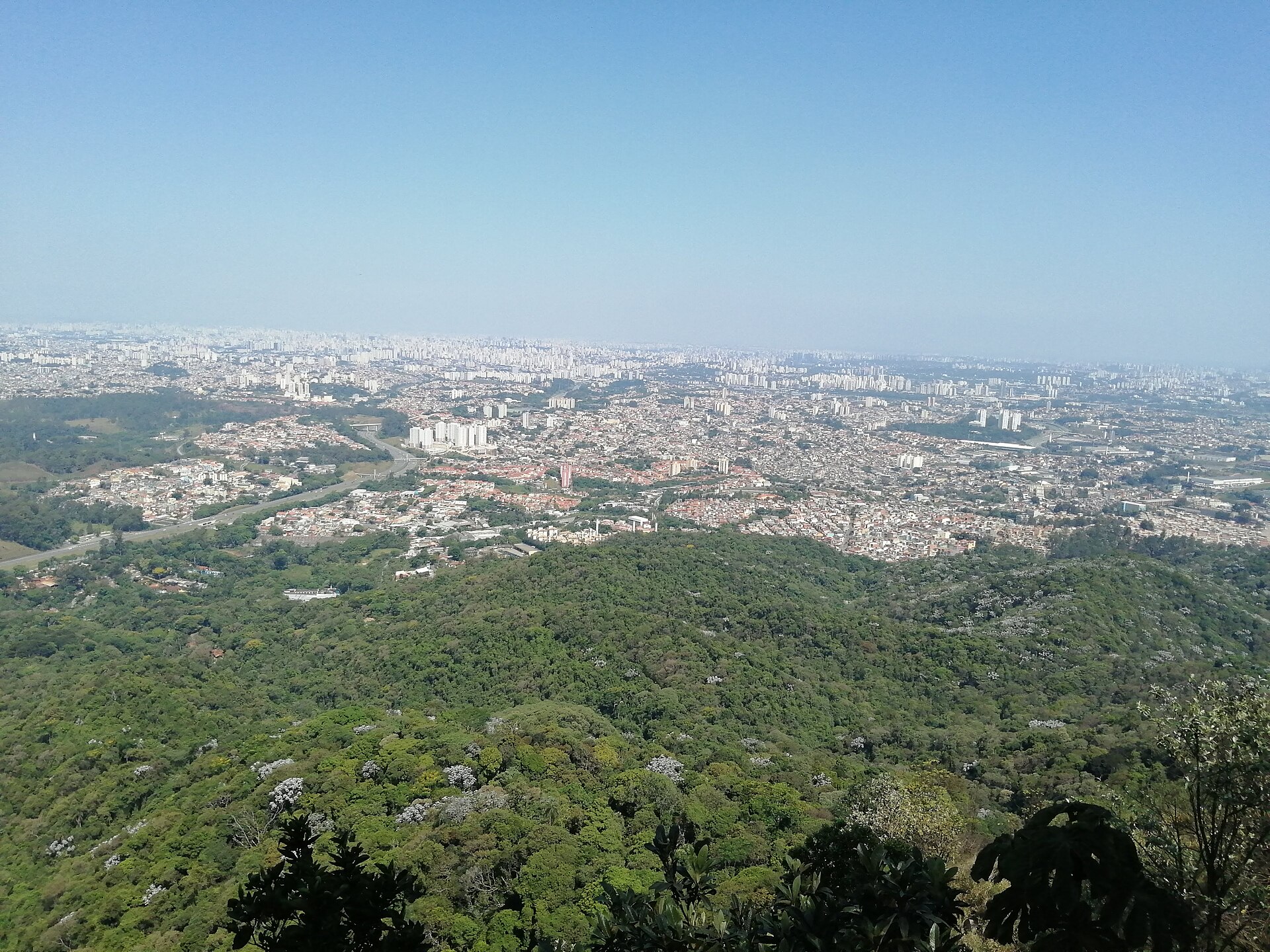 Vista do alto do Pico do Jaraguá sobre a mata e os bairros da zona norte de São Paulo